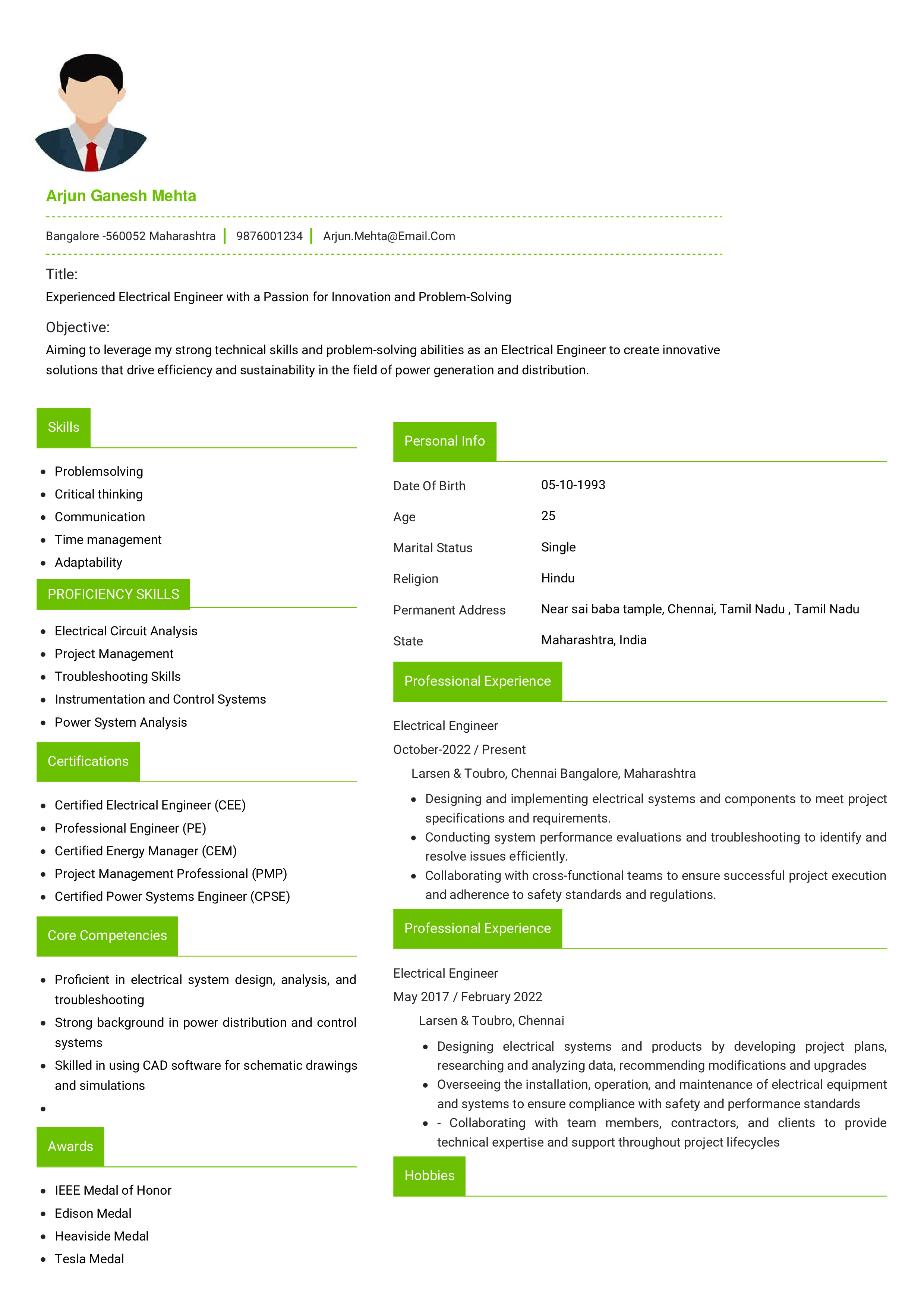 IRS Tax Examiner Resume Example