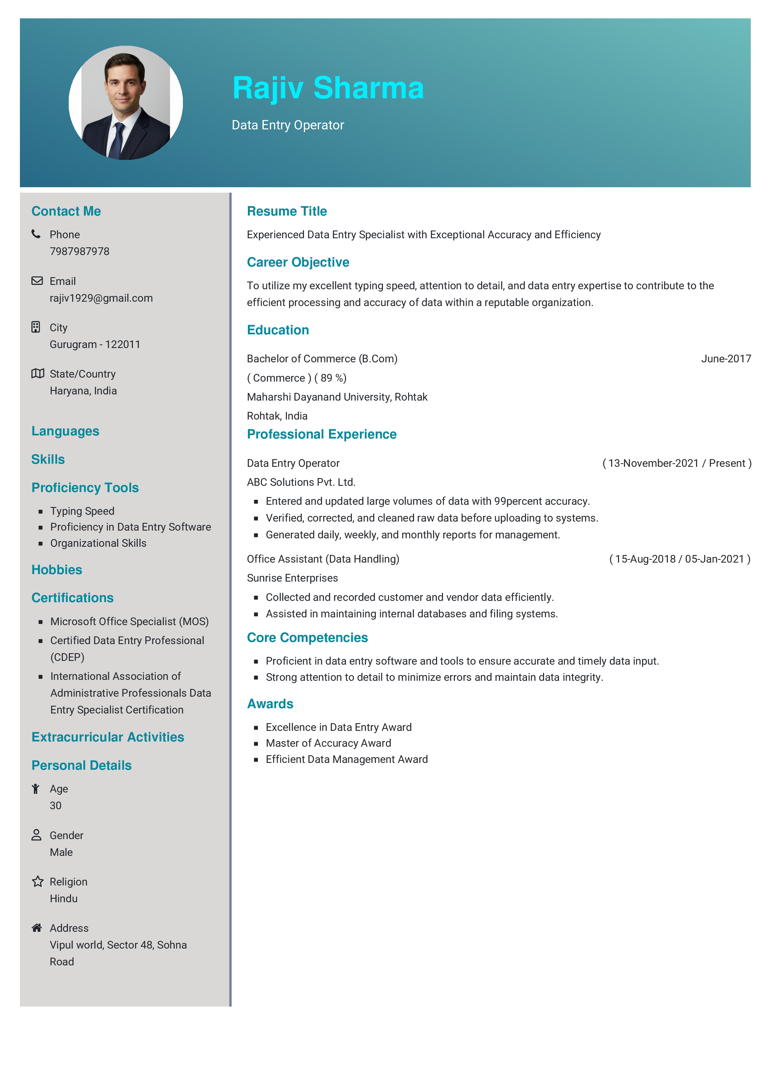 IRS Tax Examiner Resume Example