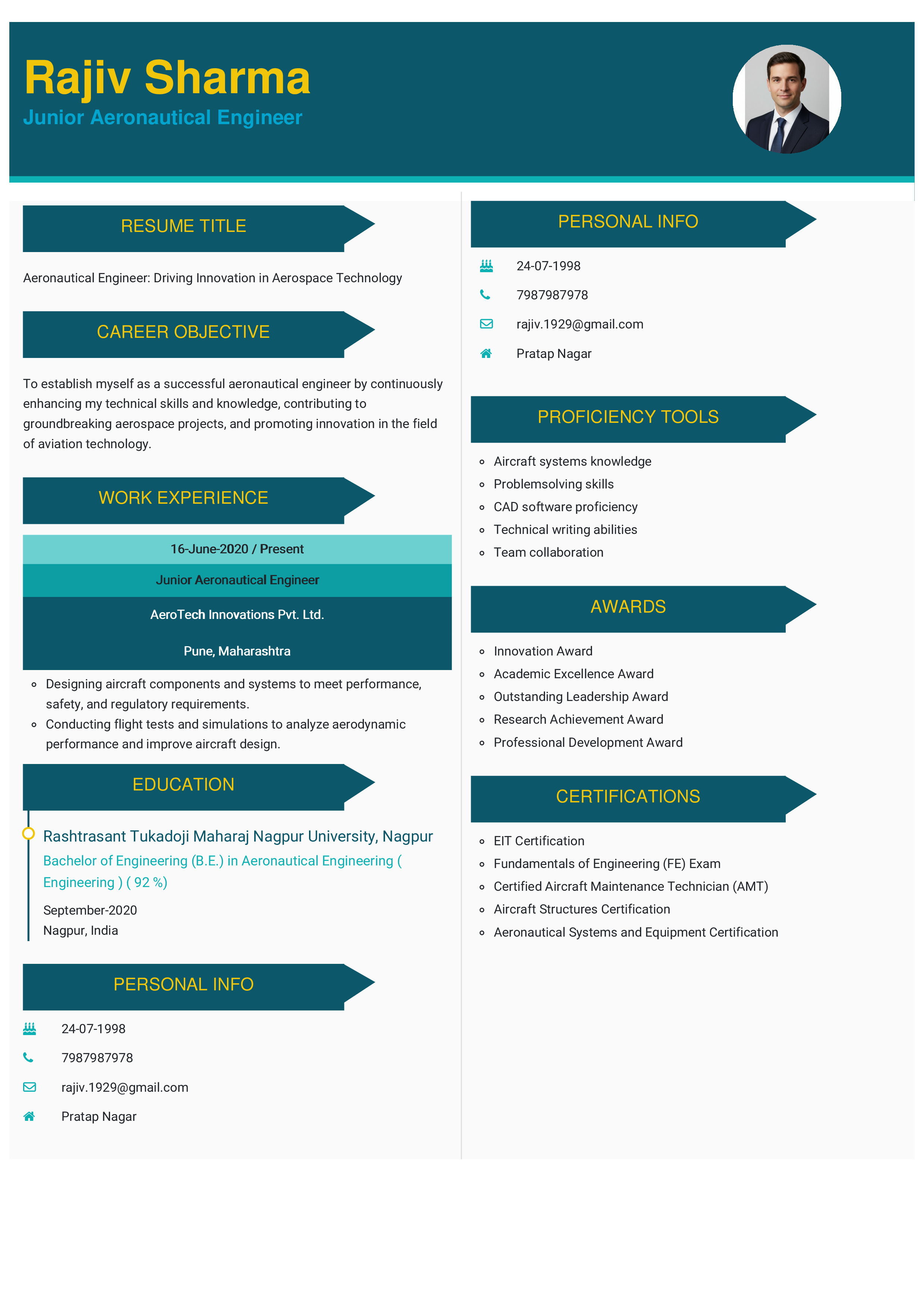 IRS Tax Examiner Resume Example