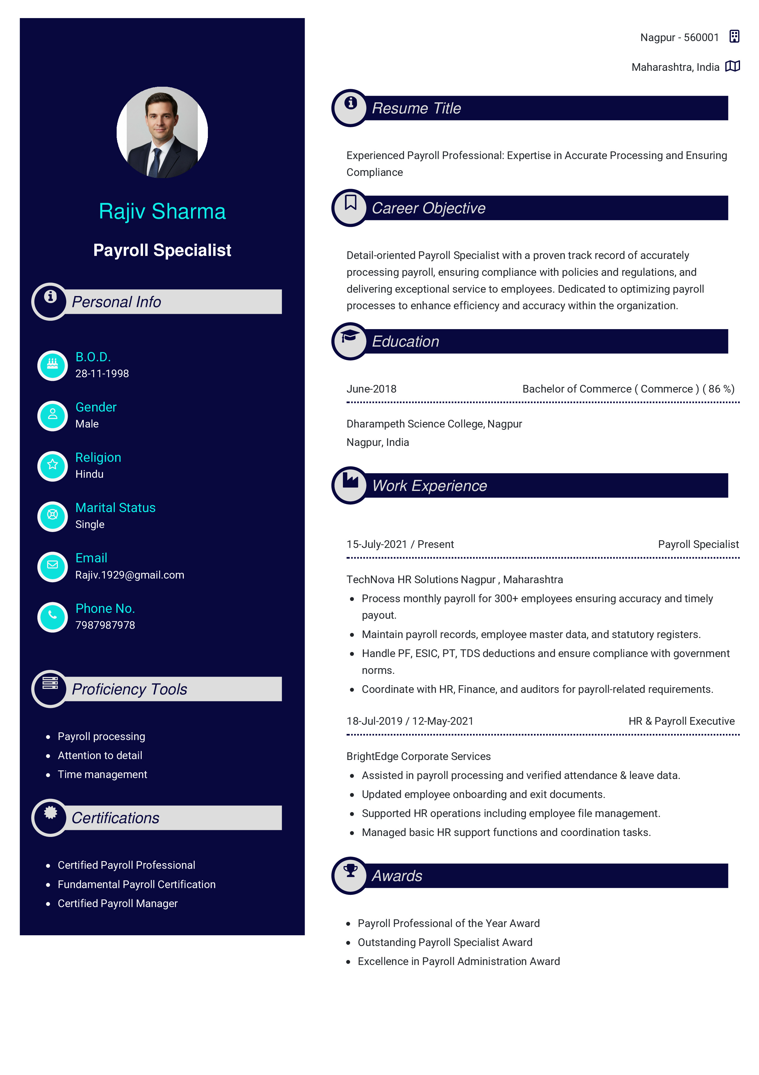 IRS Tax Examiner Resume Example