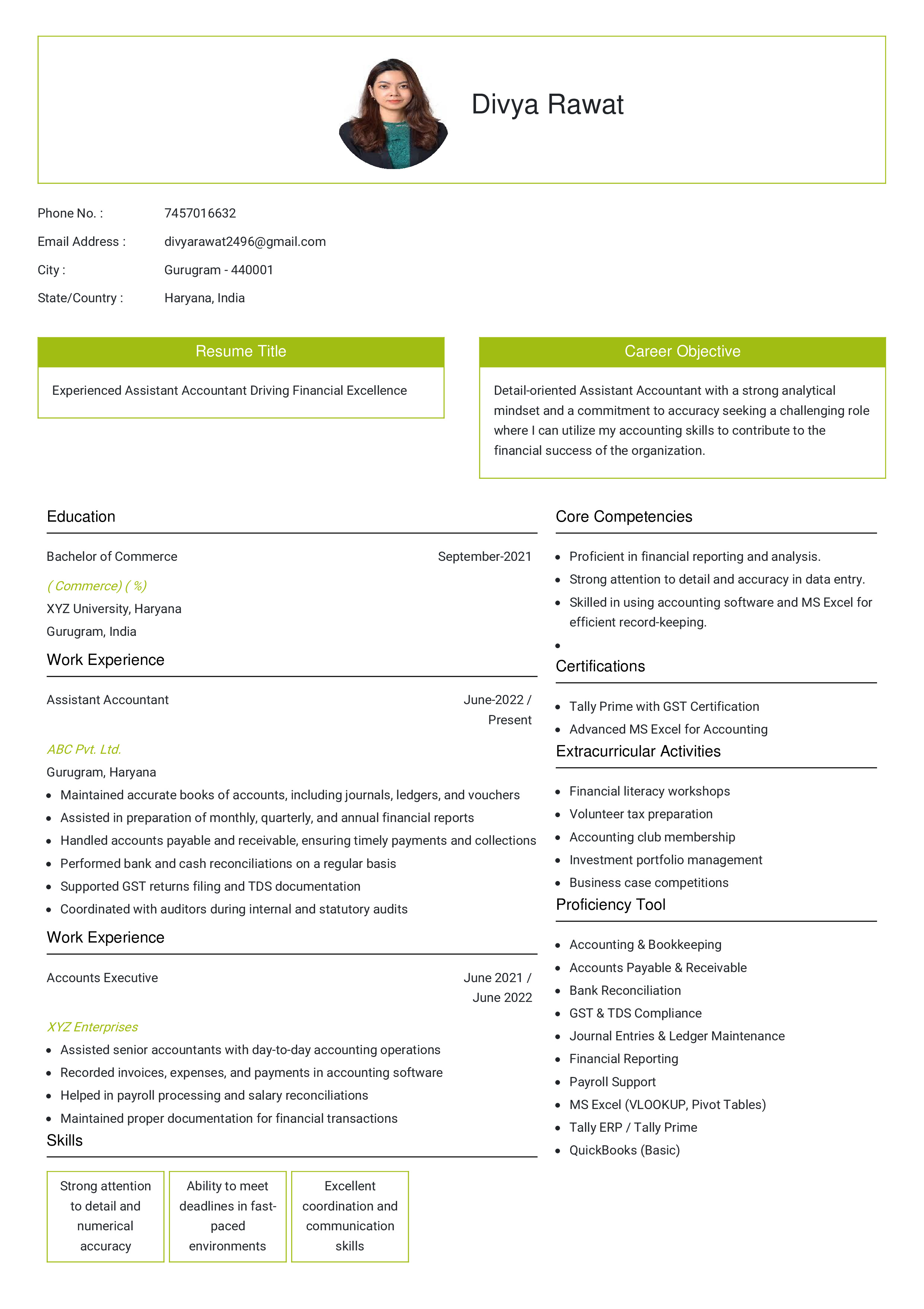 IRS Tax Examiner Resume Example