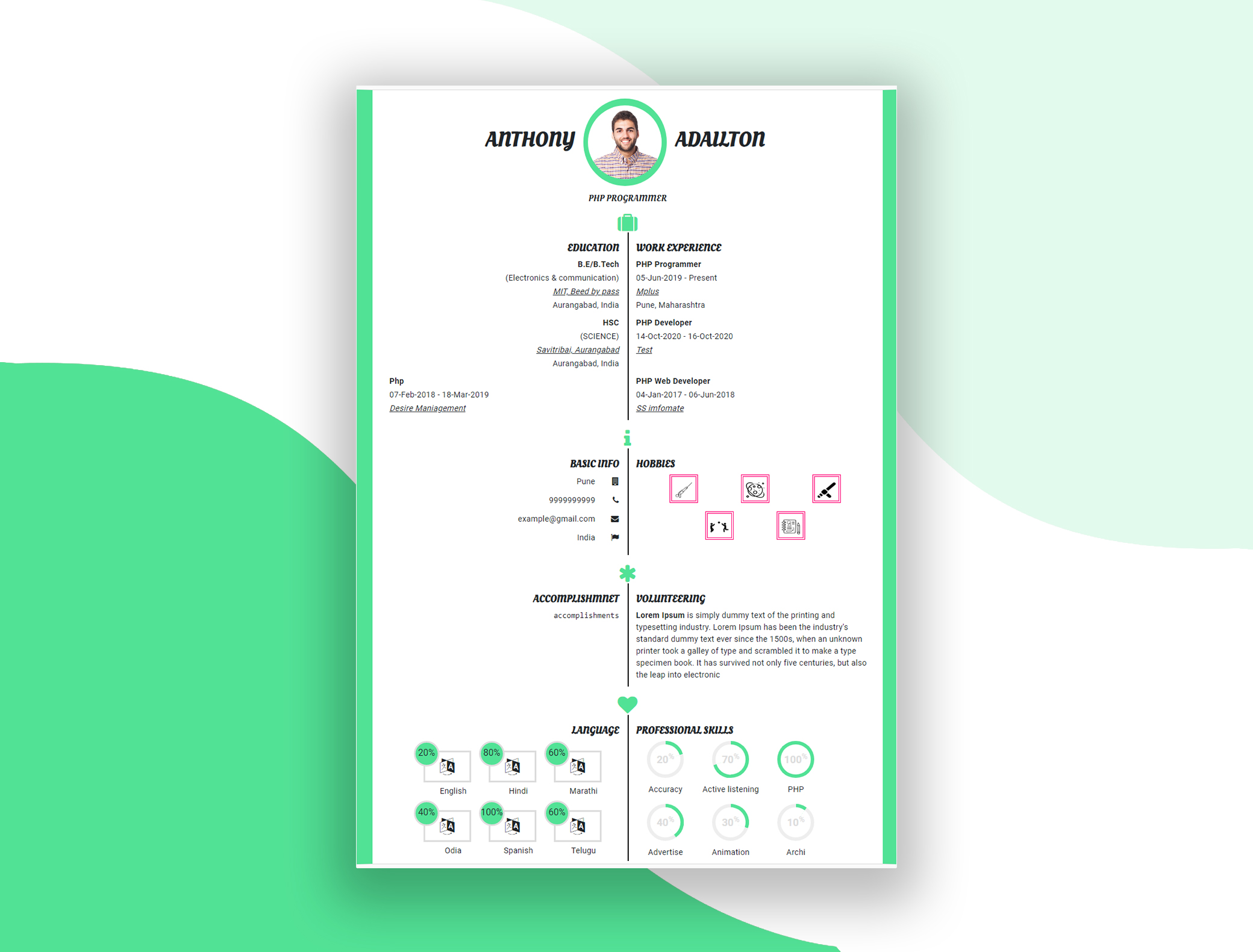 Create Your Infographics Resume